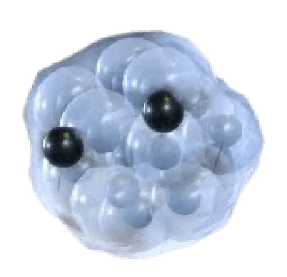 NFR Frogspawn - Adopt Me
