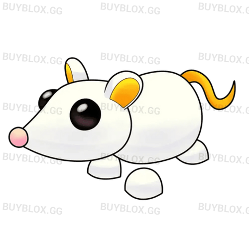 NFR Golden Rat