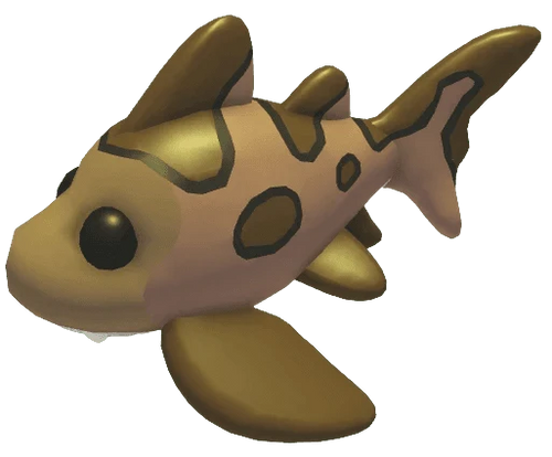 NFR Leopard Shark