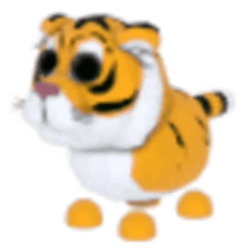 NFR Lunar Tiger
