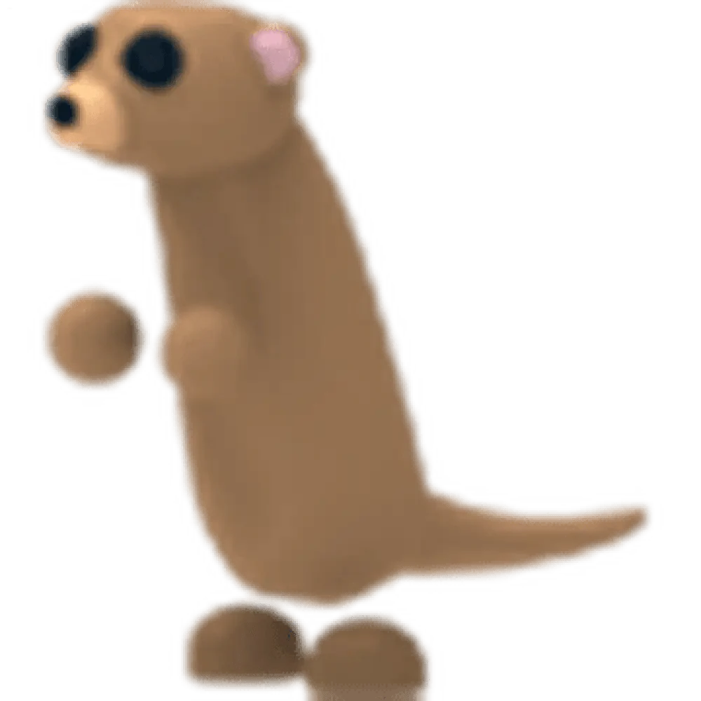 NFR Meerkat - Adopt Me