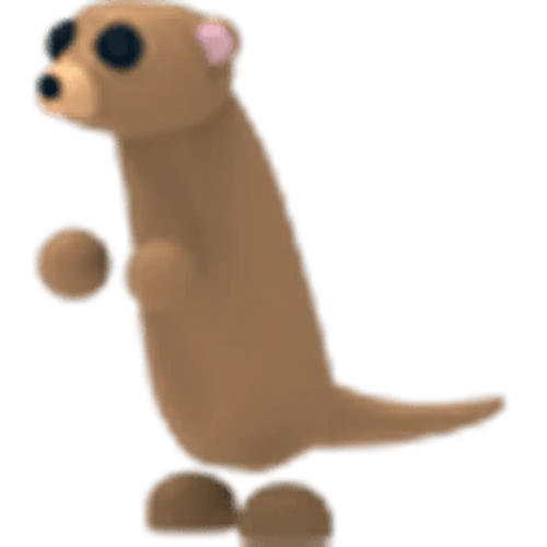 NFR Meerkat