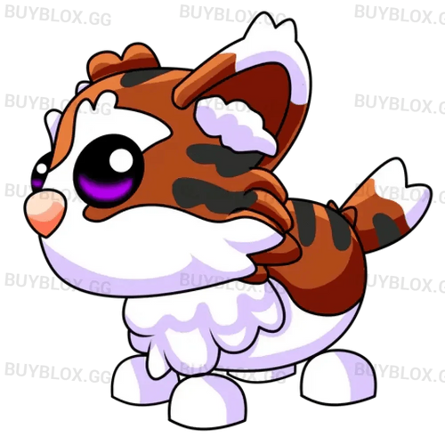 NFR Munchkin Cat