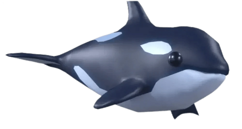 NFR Orca