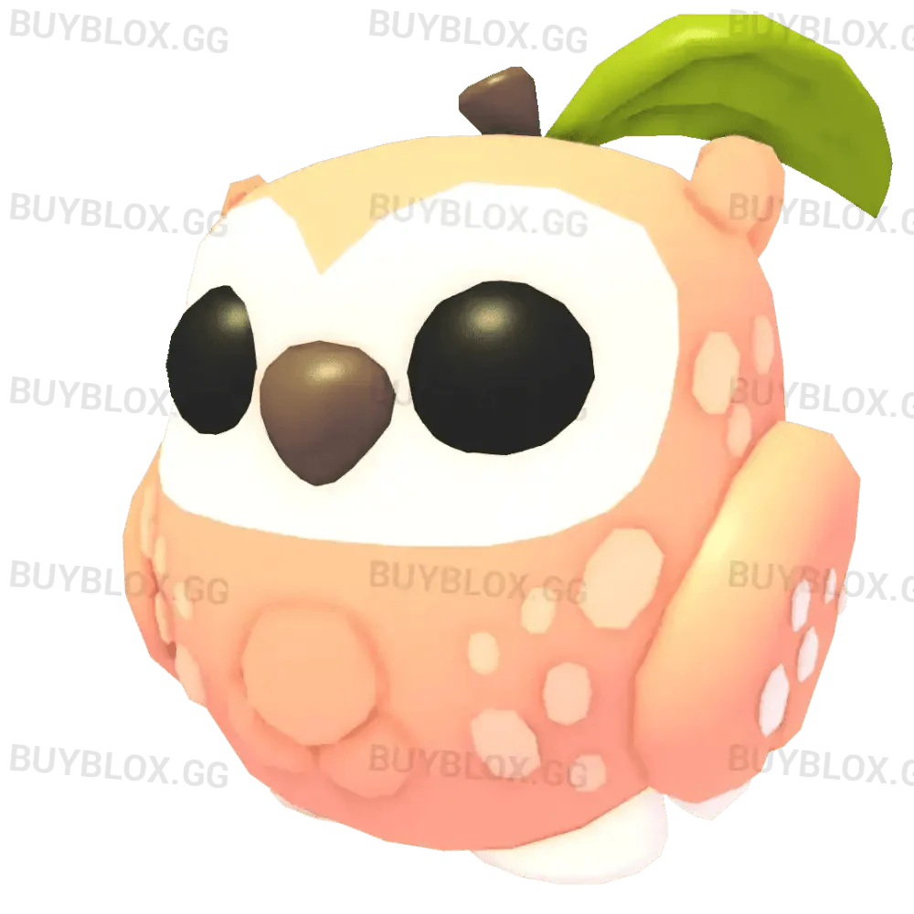NFR Peach Owl - Adopt Me