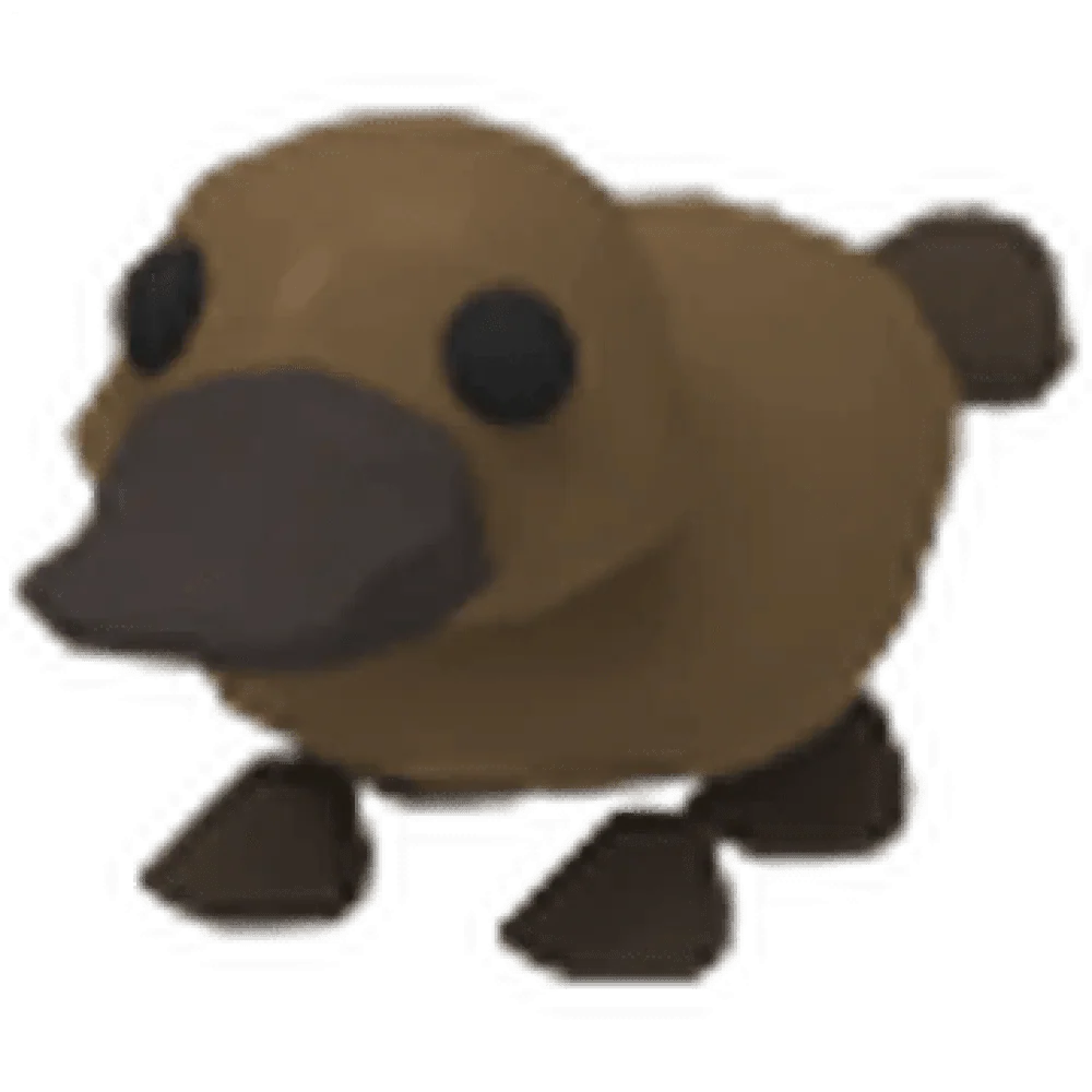 NFR Platypus - Adopt Me
