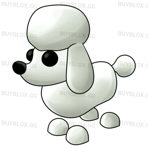 NFR Poodle