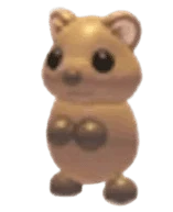 NFR Quokka