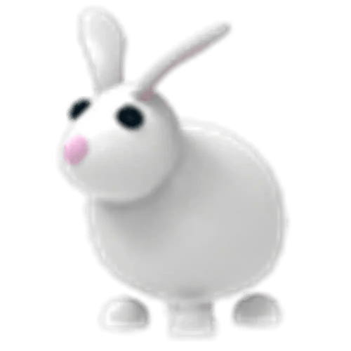 NFR Rabbit