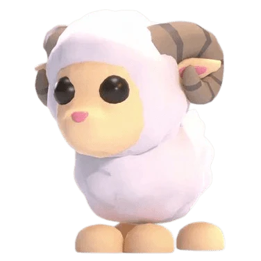 NFR Ram