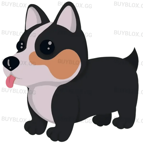 NFR Royal Corgi