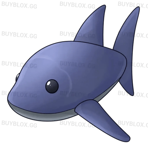 NFR Shark
