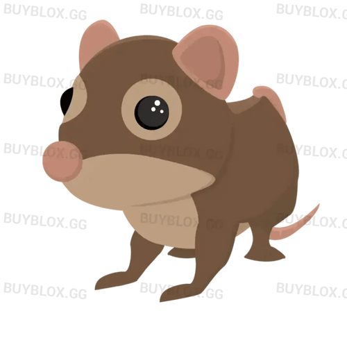 NFR Shrew