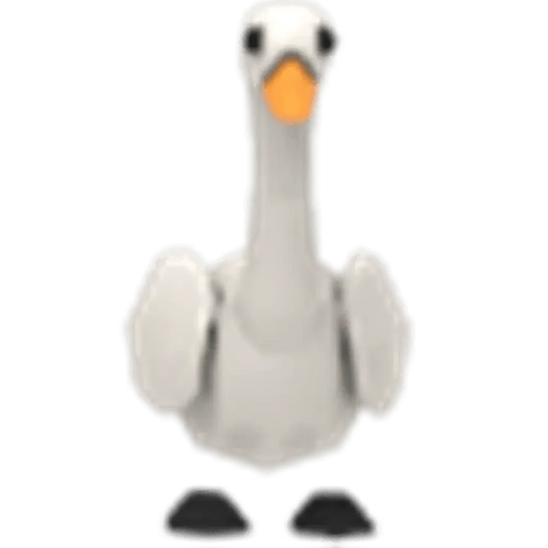 NFR Swan