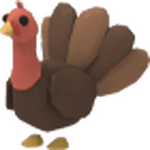 NFR Turkey