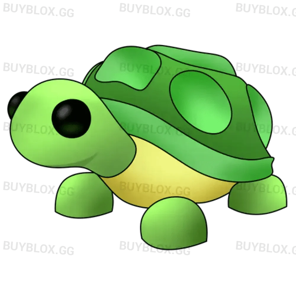NFR Turtle - Adopt Me