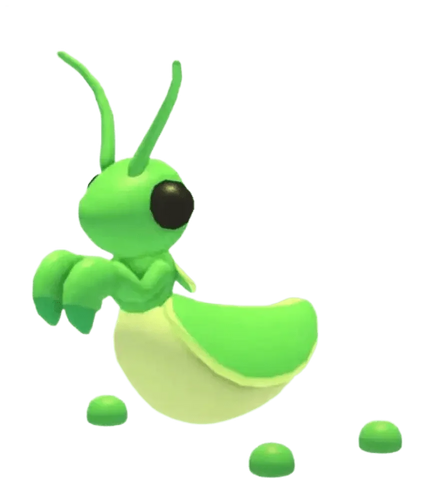 Praying Mantis