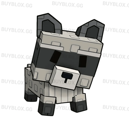 Raccoon