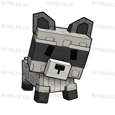 Raccoon