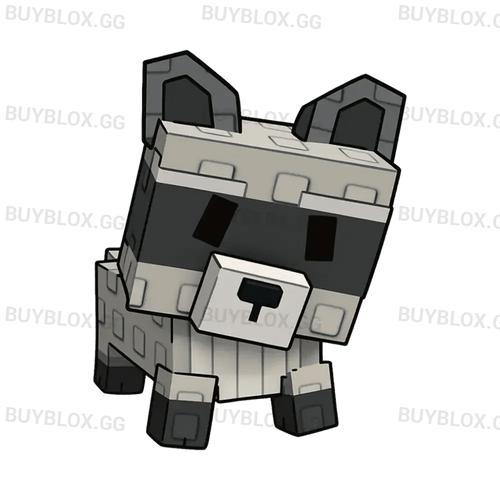 Raccoon