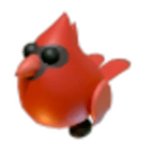Red Cardinal