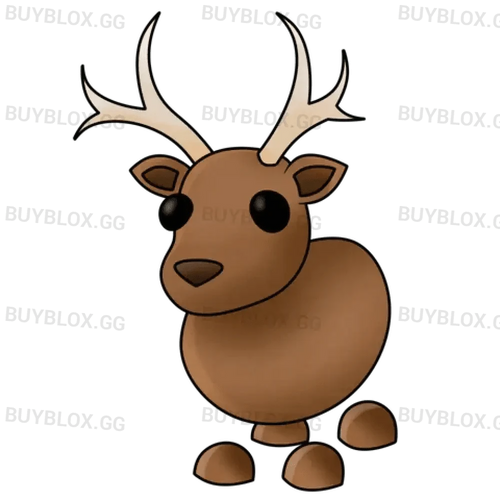 Reindeer