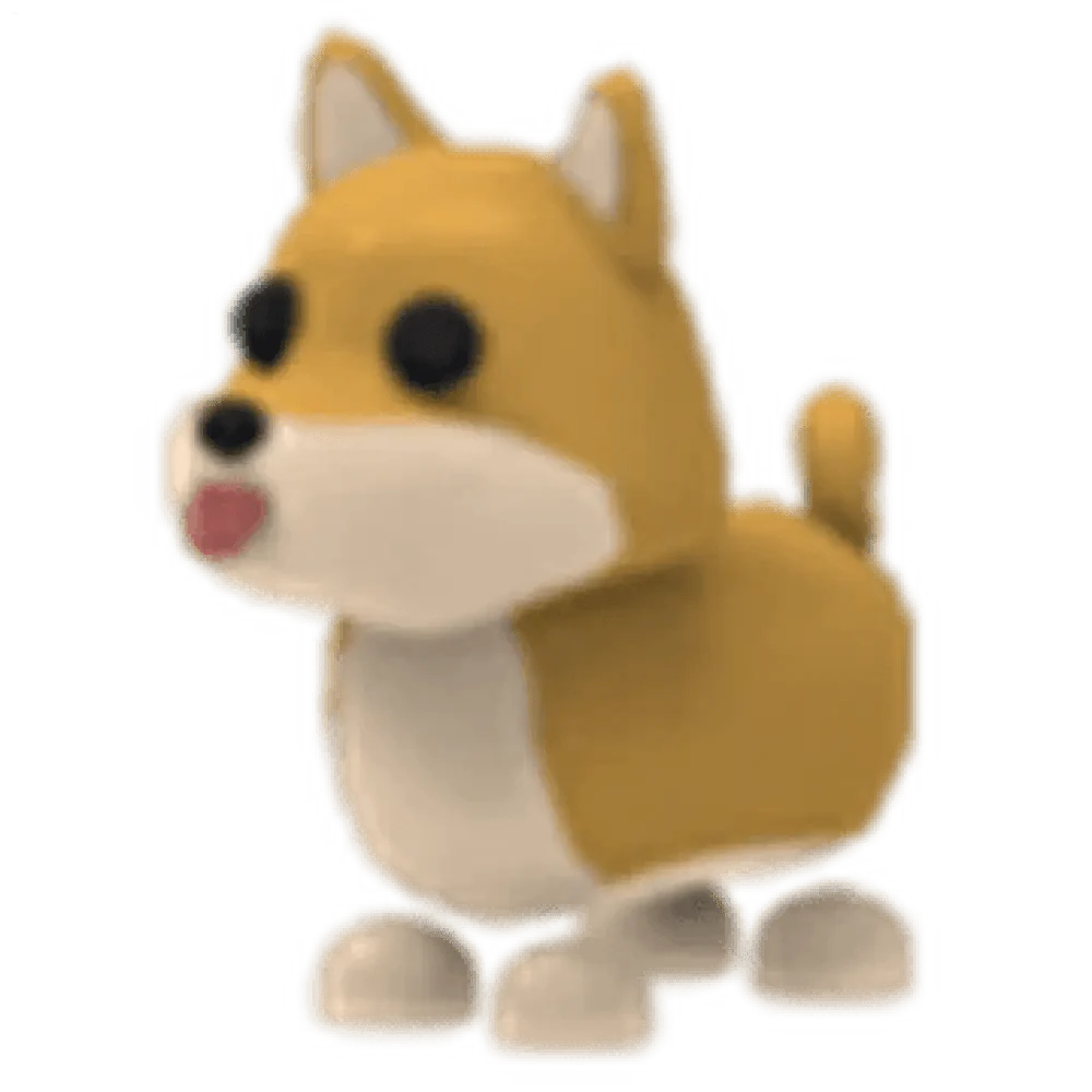 Shiba Inu - Adopt Me