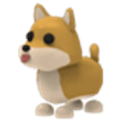 Shiba Inu