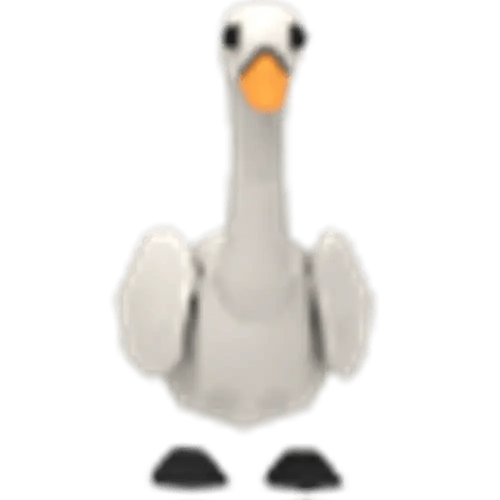 Swan